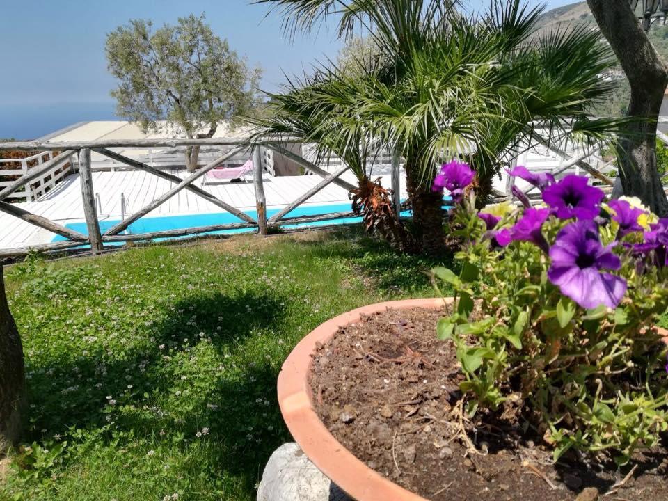 Il Casale Del Golfo Apartment Vico Equense Ngoại thất bức ảnh